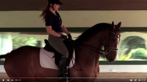 screen capture from video on Para Equestrian Dressage