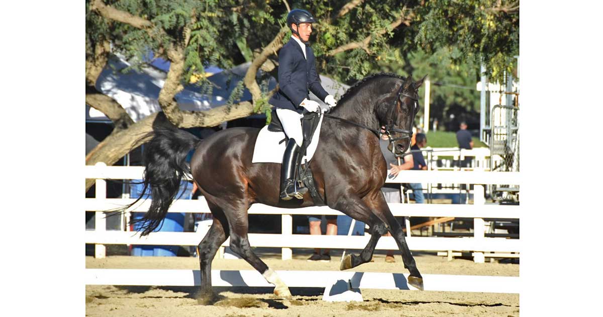 Nick Onoda Dressage Clinic