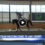 Equestrian Vaulting Event in the News