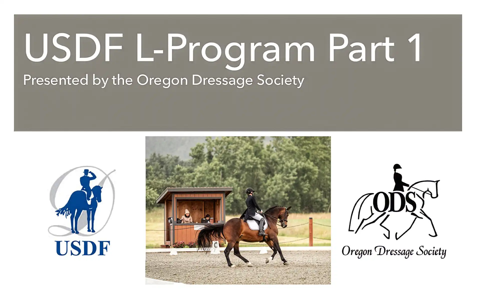 USDF L-Program Part 1